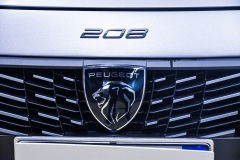 PEUGEOT 208 1.2I Puretech 100CV Allure 22