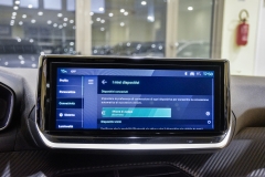 PEUGEOT 208 1.2I Puretech 100CV Allure 53