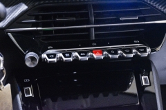 PEUGEOT 208 1.2I Puretech 100CV Allure 55