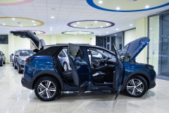 PEUGEOT 3008 1.5 HDI 130CV Allure 17