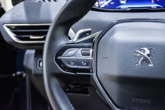 PEUGEOT 3008 1.5 HDI 130CV Allure 43