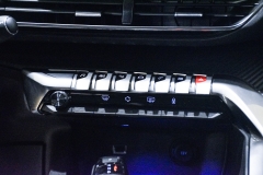 PEUGEOT 3008 1.5 HDI 130CV Allure 59