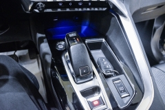 PEUGEOT 3008 1.5 HDI 130CV Allure 61