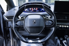 PEUGEOT 3008 1.5 HDI 130CV GT 53