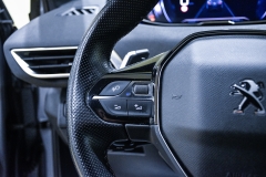 PEUGEOT 3008 1.5 HDI 130CV GT 54