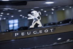 PEUGEOT 3008 1.5 HADI 130CV Allure 27