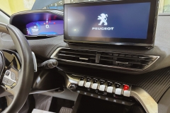 PEUGEOT 3008 USATA KM0 MATERA - (126)