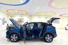 PEUGEOT 3008 USATA KM0 MATERA - (14)