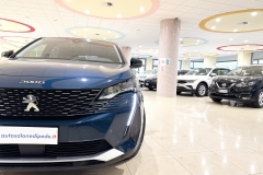 PEUGEOT 3008 USATA KM0 MATERA - (24)