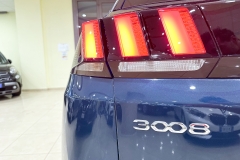 PEUGEOT 3008 USATA KM0 MATERA - (44)