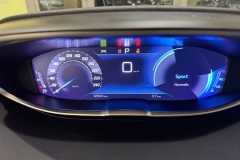 PEUGEOT 3008 USATA KM0 MATERA - (70)