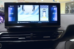 PEUGEOT 3008 USATA KM0 MATERA - (88)