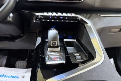 PEUGEOT 3008 USATA KM0 MATERA - (95)