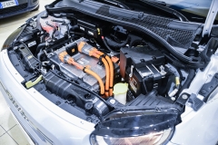 500e Business Opening 34