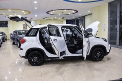 Fiat 500L cross benzina usata matera 16