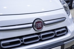 Fiat 500L cross benzina usata matera 22