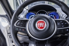 Fiat 500L cross benzina usata matera 47