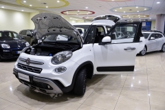 Fiat 500L cross benzina usata matera 7