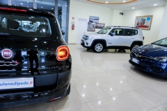 FIAT 500L 1300 DIESEL USATA MATERA 23