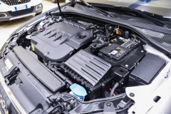 AUDI A3 Spb 1.6TSI 116CV Business 33