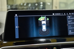 BMW X4 X-DRIVE 2.0D Mhev 190CV 65