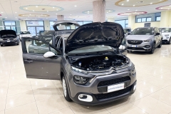 CITROEN C3 USATA MATERA 9