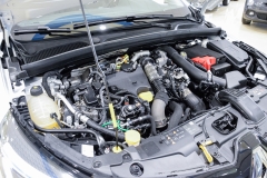 RENAULT CLIO 1.5 DCI 100CV EVOLUTION 31