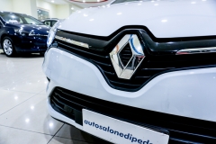RENAULT CLIO 900i MOSCHINO USATA 22
