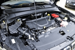 JEEP COMPASS 1.6 MJT2 130CV Limited 31
