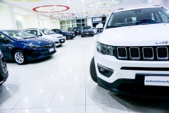 JEEP COMPASS BUSINESS 1600 DIESEL USATA 20