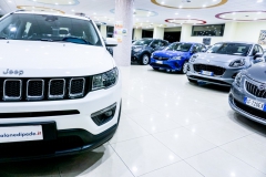 JEEP COMPASS BUSINESS 1600 DIESEL USATA 21