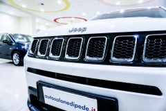 JEEP COMPASS BUSINESS 1600 DIESEL USATA 22