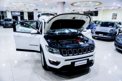 JEEP COMPASS BUSINESS 1600 DIESEL USATA 9