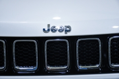 Jeep Compass 1600 diesel usata limited matera 20