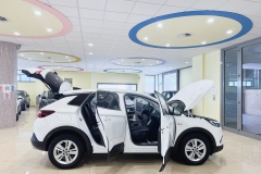 OPEL GRANDLAND USATA MATERA - (14)