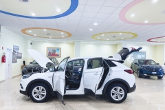 OPEL GRANDLAND USATA MATERA - (15)
