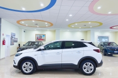OPEL GRANDLAND USATA MATERA - (16)