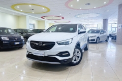 OPEL GRANDLAND USATA MATERA - (17)