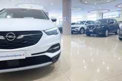 OPEL GRANDLAND USATA MATERA - (20)
