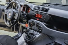 PANDA-HYBRID-IBRIDA-USATA-KM0-MATERA-40