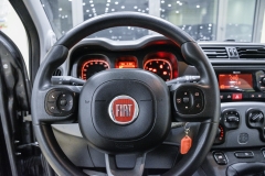 PANDA-HYBRID-IBRIDA-USATA-KM0-MATERA-44