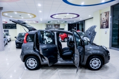 FIAT PANDA HYBRID usata 14