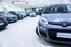 FIAT PANDA HYBRID usata 19