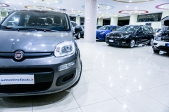 FIAT PANDA HYBRID usata 20