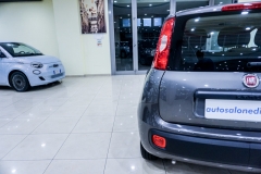 FIAT PANDA HYBRID usata 25