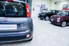 FIAT PANDA HYBRID usata 26