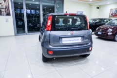 FIAT PANDA HYBRID usata 6