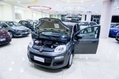 FIAT PANDA HYBRID usata 7