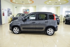 FIAT PANDA 1.0 Hybrid 70CV Firefly City 13