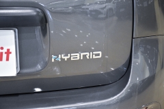 FIAT PANDA 1.0 Hybrid 70CV Firefly City 24
